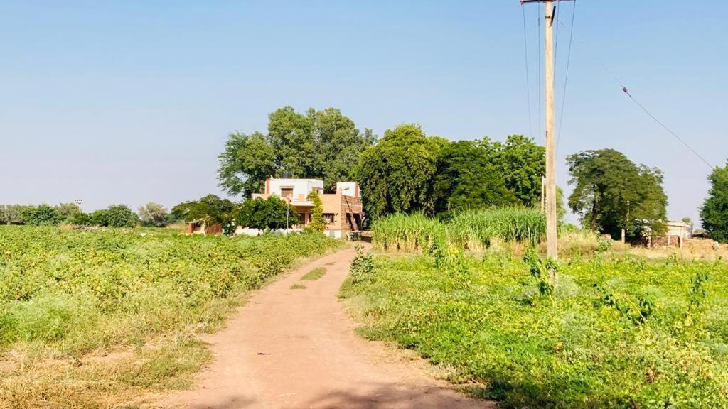 Ananya Farms Paradise Dźodhpur Zewnętrze zdjęcie