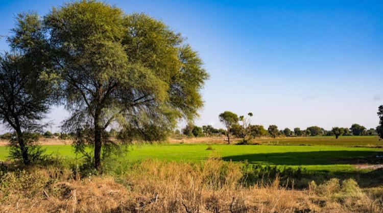 Ananya Farms Paradise Dźodhpur Zewnętrze zdjęcie